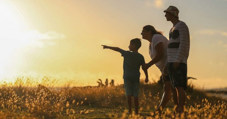 The Heartbeat of Society: Understanding Family Dynamics